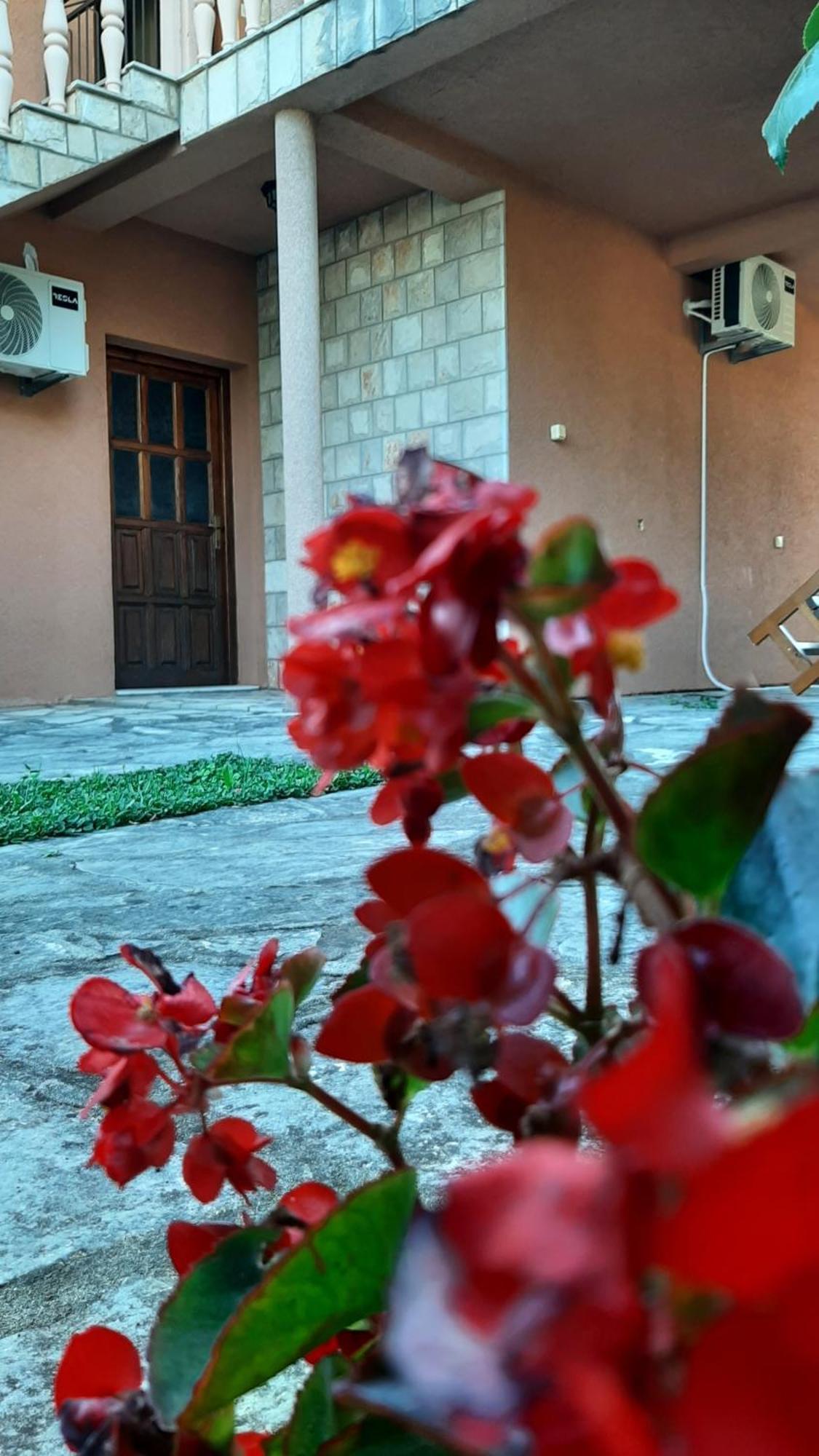 Apartmani "Dukic" Pelinovo Room photo