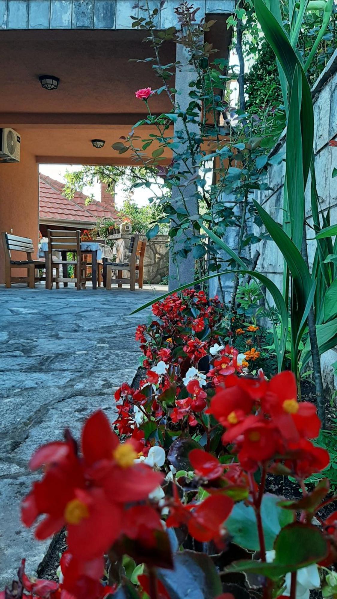 Apartmani "Dukic" Pelinovo Room photo