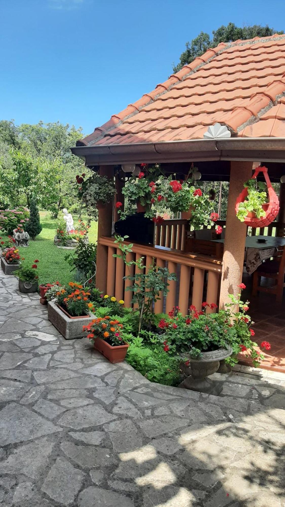 Apartmani "Dukic" Pelinovo Room photo