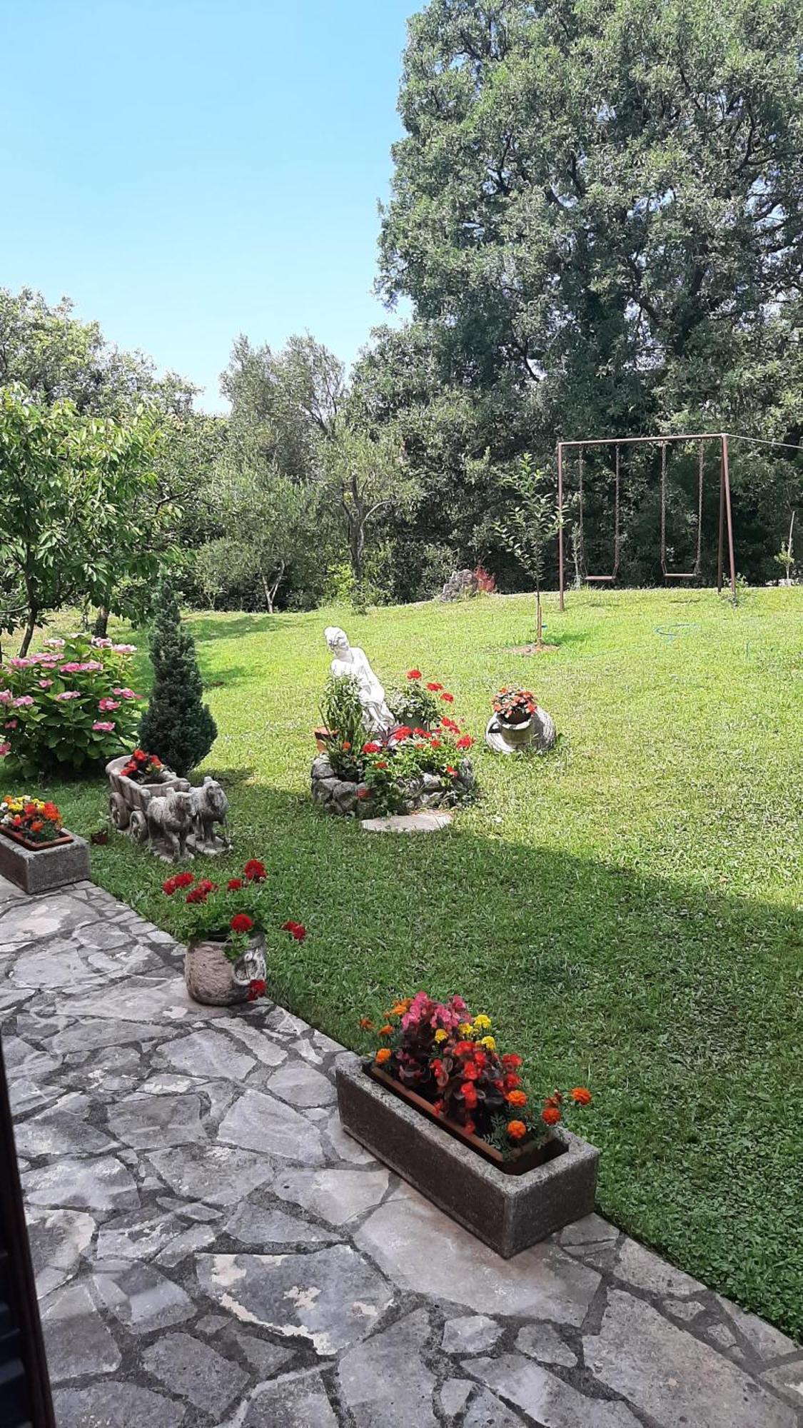 Apartmani "Dukic" Pelinovo Room photo